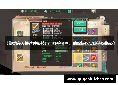 《御龙在天快速冲级技巧与经验分享，助你轻松突破等级瓶颈》