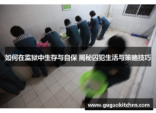 如何在监狱中生存与自保 揭秘囚犯生活与策略技巧